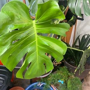 Umbro Duotone Carrysack Drawstring Bag - Purple Turquoise